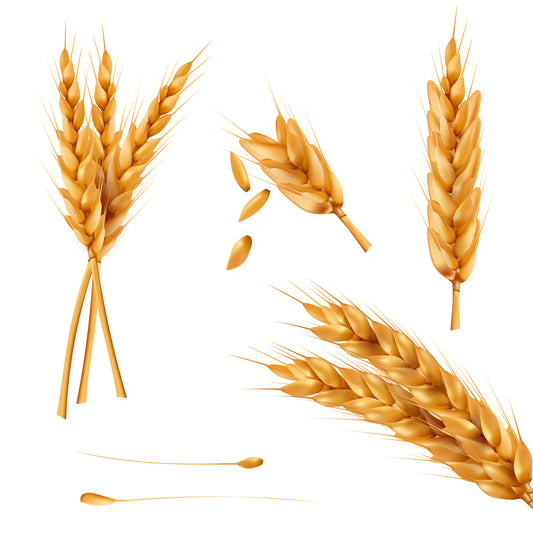Diferencias entre la enfermedad celíaca y la alergia al trigo