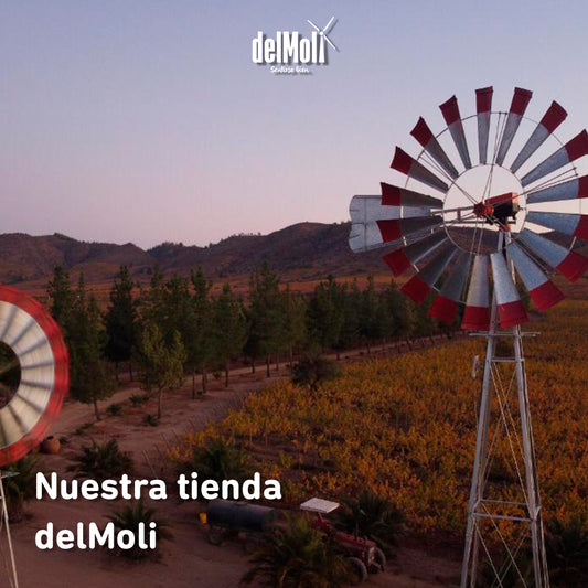 Campaña social #CompartedelMoli benefició con total éxito a comunidad celíaca de Colchagua y Santiago.